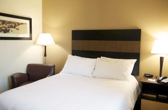 Welcome Suites - Minot, Nd Chambre photo